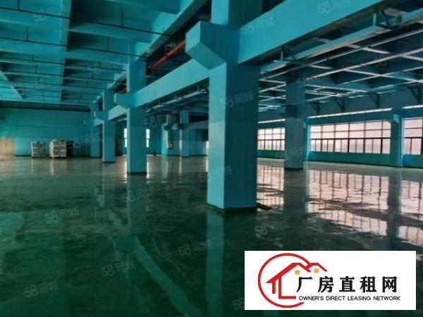  凤岗金凤凰东深二线边6米高一楼2000平厂房出租，大小可分租