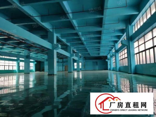  凤岗金凤凰东深二线边6米高一楼2000平厂房出租，大小可分租