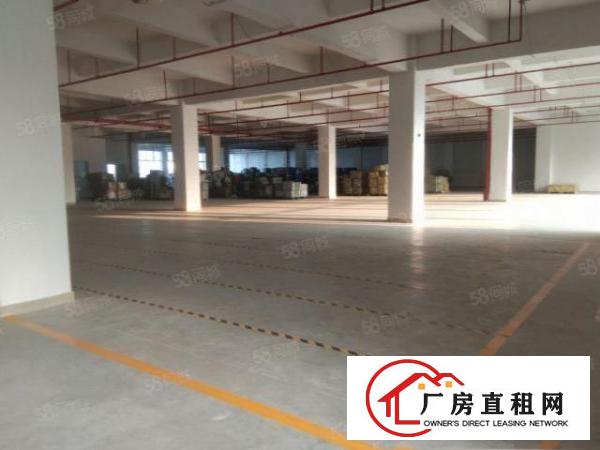  凤岗五联工业区新出一楼800平水电到位超大空地厂房出租可分租