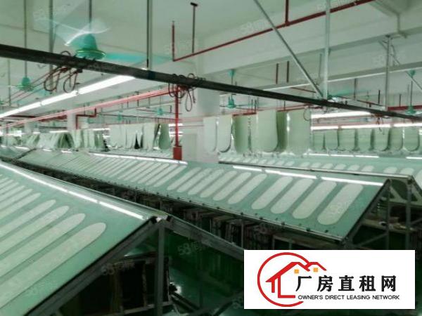  好招工凤岗雁田2楼一整层2000平带精装修办公室厂房出租