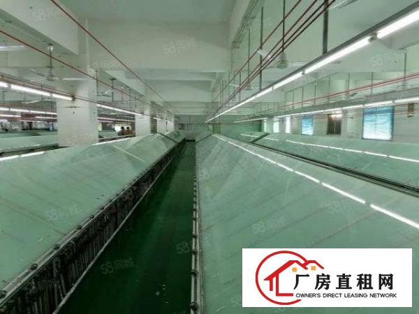  好招工凤岗雁田2楼一整层2000平带精装修办公室厂房出租