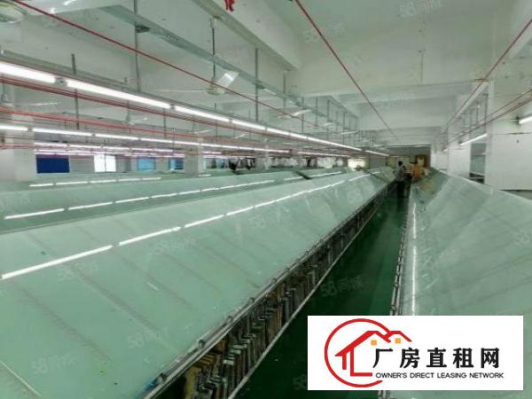  好招工凤岗雁田2楼一整层2000平带精装修办公室厂房出租