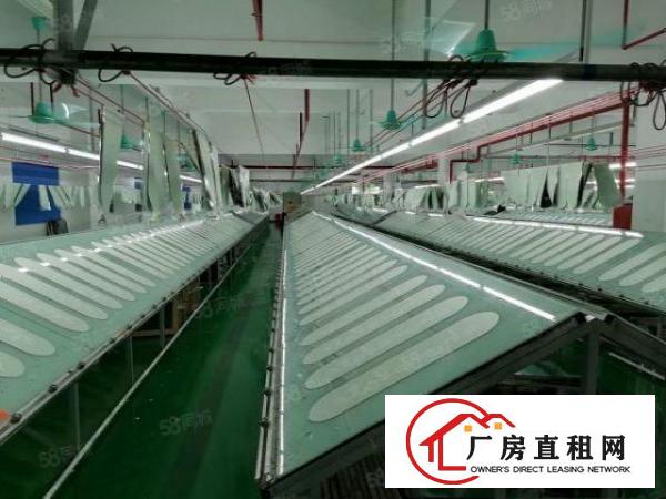  好招工凤岗雁田2楼一整层2000平带精装修办公室厂房出租