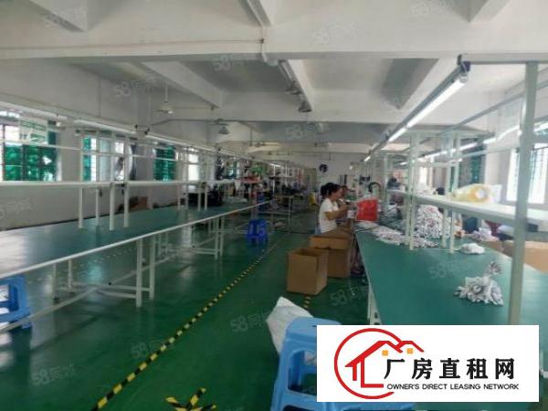  金凤凰工业区原房东独院厂房2200平方米16元出租