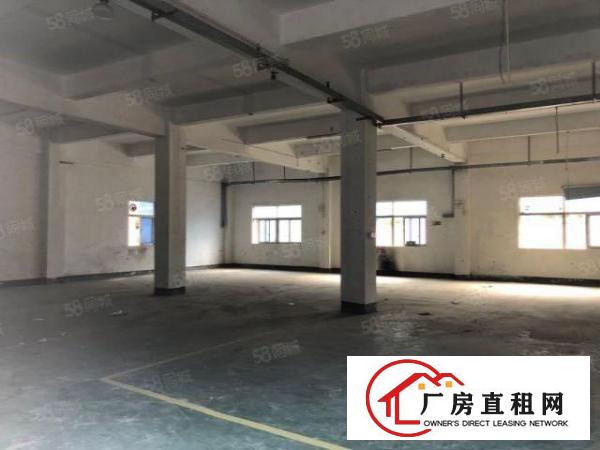  金凤凰工业区原房东独院厂房2200平方米16元出租