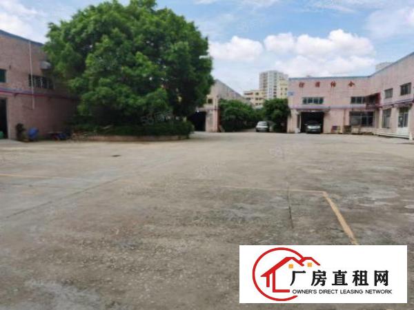  东莞凤岗新出独院超大空地4500平带隔热膜钢构厂房出租可分