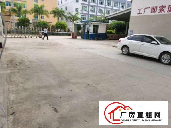  东莞凤岗新出独院超大空地4500平带隔热膜钢构厂房出租可分