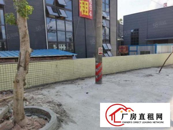  东莞凤岗新出独院超大空地4500平带隔热膜钢构厂房出租可分