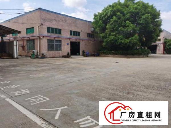  东莞凤岗新出独院超大空地4500平带隔热膜钢构厂房出租可分