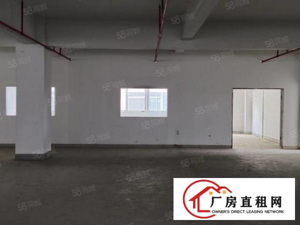  凤岗原房东楼上厂房4层各2100平方可分租13元起