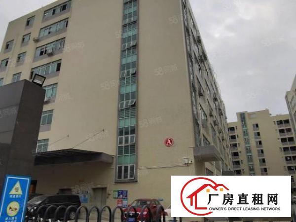 凤岗原房东楼上厂房4层各2100平方可分租13元起