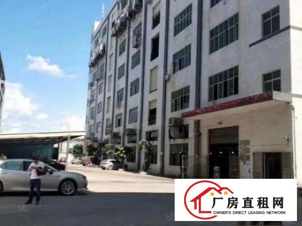  凤岗带流水线台地坪漆办公室厂房拎包入住出租1000平米