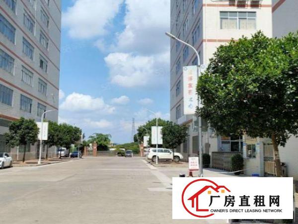  凤岗雁田南山工业区一楼1000平超大空地形象好厂房200起分