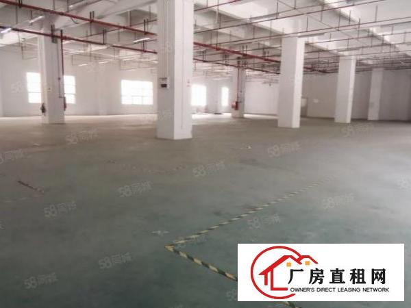  凤岗雁田南山工业区一楼1000平超大空地形象好厂房200起分