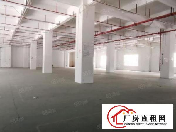  凤岗雁田南山工业区一楼1000平超大空地形象好厂房200起分