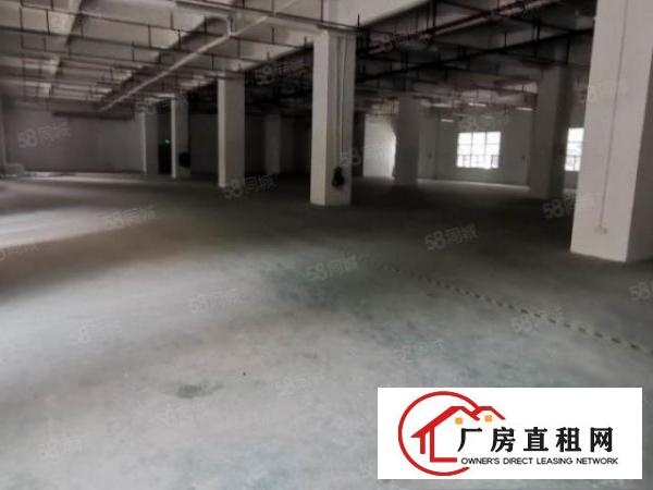  凤岗雁田南山工业区一楼1000平超大空地形象好厂房200起分