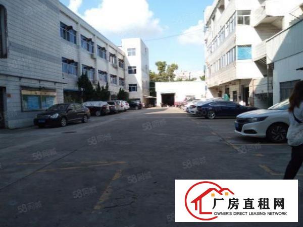  凤岗雁田1000平厂房出租可以分租带装修豪华办公室可办环评