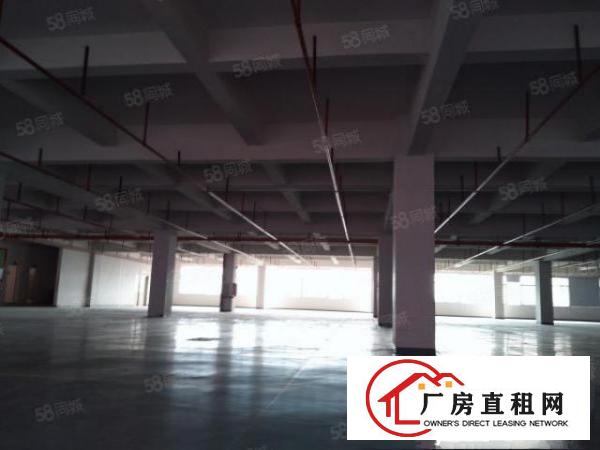  凤岗雁田1000平厂房出租可以分租带装修豪华办公室可办环评