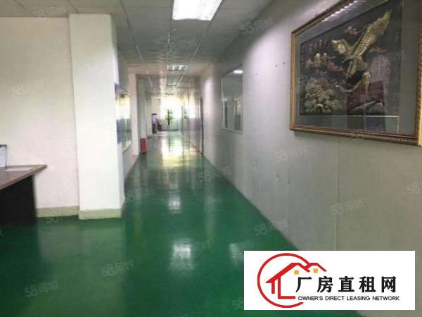  业主直租布心工业区带现成水电办公室6800平米独院厂房可分租