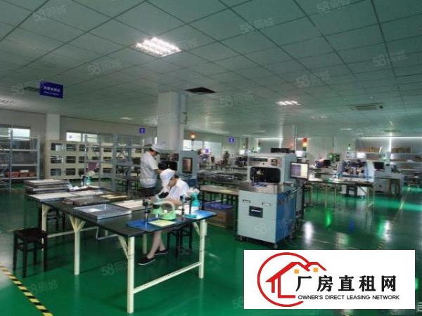  业主直租布心工业区带现成水电办公室6800平米独院厂房可分租