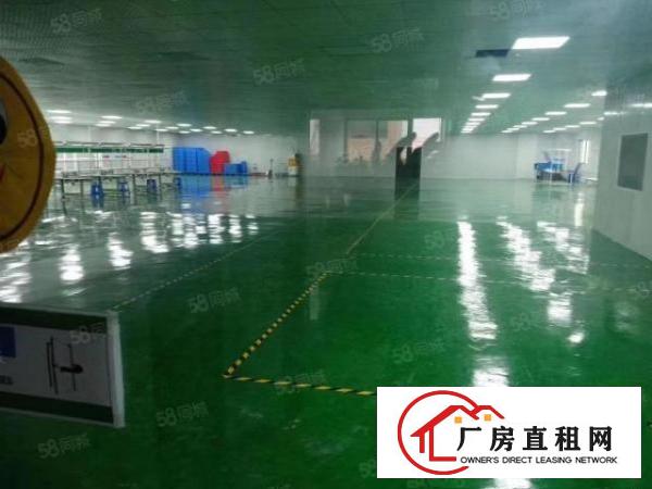 业主直租布心工业区带现成水电办公室6800平米独院厂房可分租
