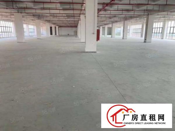  凤岗塘厦清溪交汇处全新花园式标准独院厂房，丙二类消防