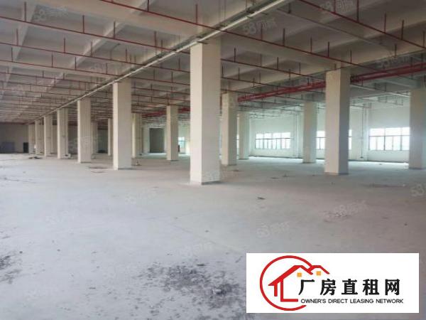  凤岗塘厦清溪交汇处全新花园式标准独院厂房，丙二类消防