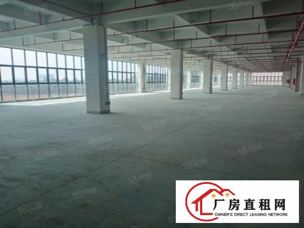  凤岗塘厦清溪交汇处全新花园式标准独院厂房，丙二类消防
