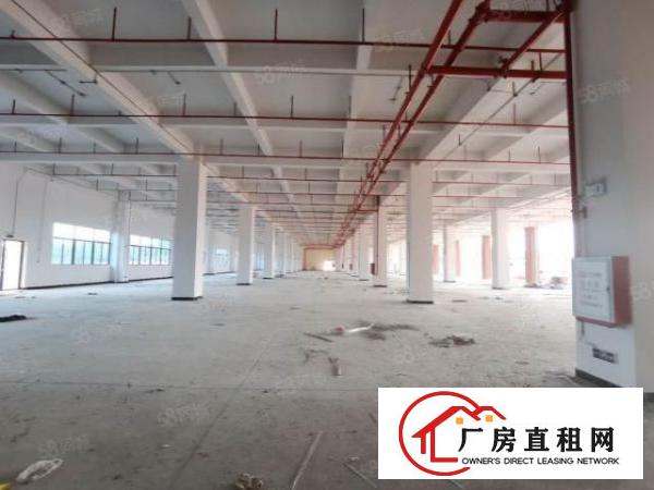  凤岗塘厦清溪交汇处全新花园式标准独院厂房，丙二类消防