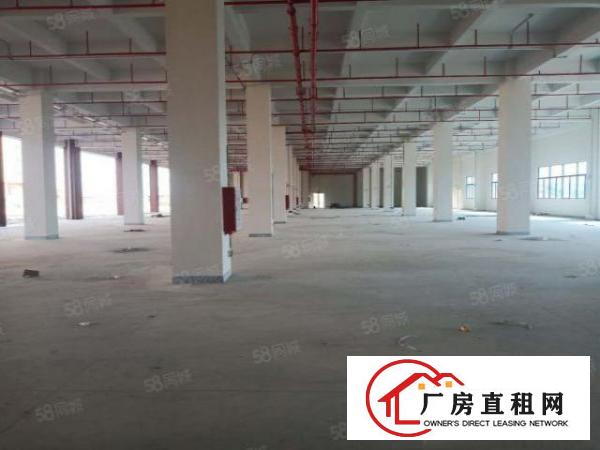  凤岗塘厦清溪交汇处全新花园式标准独院厂房，丙二类消防