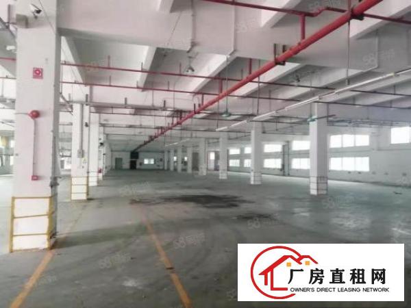  凤岗镇中心红本厂房带精装修水电空地超大交通方便厂房出租