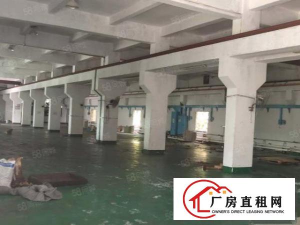  凤岗靠近平湖横岗龙岗原房东标准独院招租