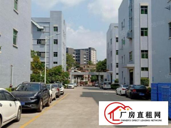  金凤凰新出1200平米电梯厂房带现成办公室装修业主直接出租