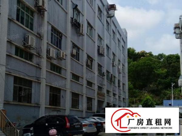 金凤凰新出1200平米电梯厂房带现成办公室装修业主直接出租