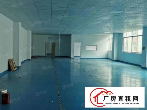  金凤凰新出1200平米电梯厂房带现成办公室装修业主直接出租