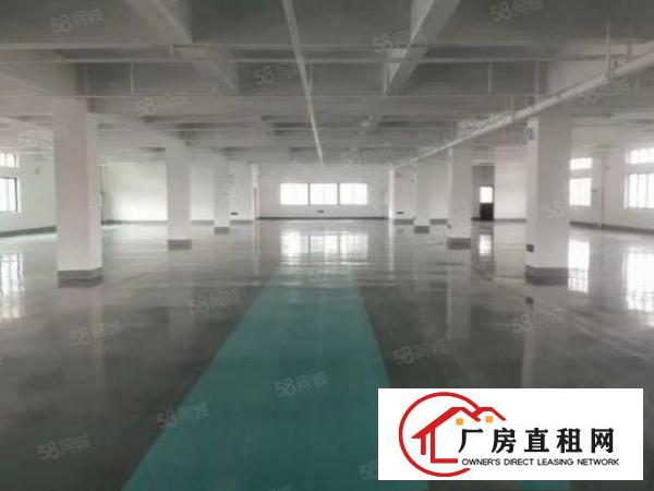  凤岗雁田原房东独院五层20000平标准厂房出租500平方起分