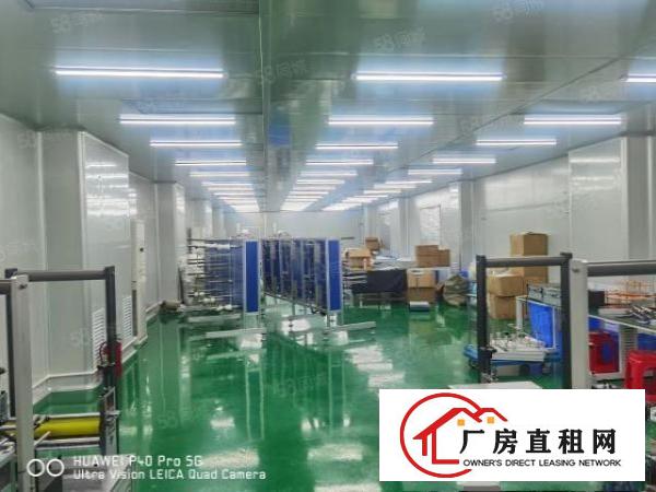  金凤凰工业区无尘车间出租1000，豪华装修，水电齐全。