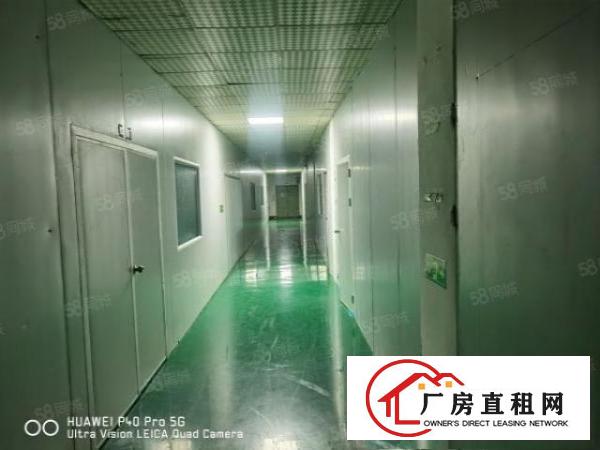  金凤凰工业区无尘车间出租1000，豪华装修，水电齐全。
