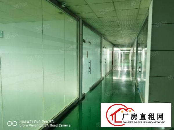  金凤凰工业区无尘车间出租1000，豪华装修，水电齐全。