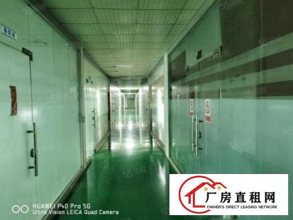  金凤凰工业区无尘车间出租1000，豪华装修，水电齐全。