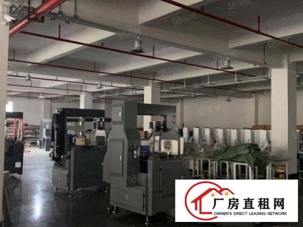  凤岗镇村委厂房出租独院厂房面积不限可任意分租500平起
