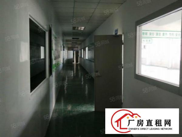  凤岗金凤凰工业区二楼1800平方带装修厂房出租，可分租