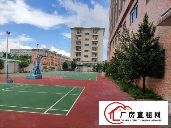  凤岗新出适合做养老院医院，学校，教育培训，幼儿园的红本厂房