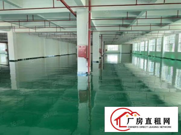  凤岗新出适合做养老院医院，学校，教育培训，幼儿园的红本厂房