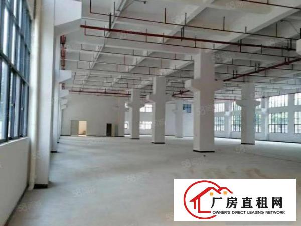  凤岗近深圳7米高原房东标准一楼3200平方可分租
