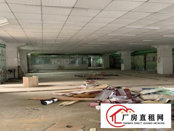  凤岗带红本独院厂房5800平，适合冻库物流，合同可签十年