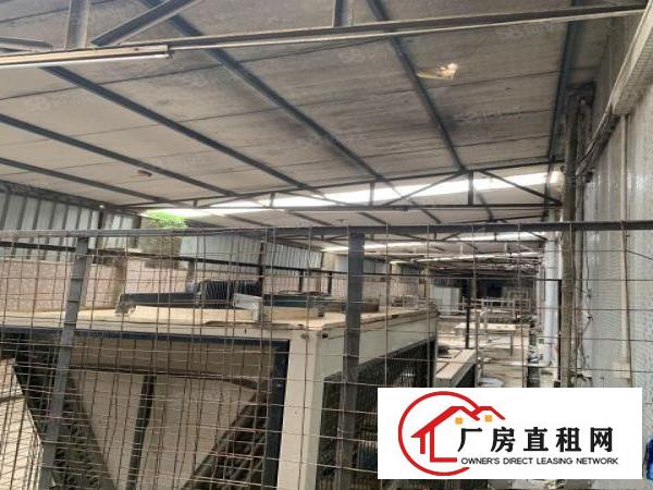 凤岗带红本独院厂房5800平，适合冻库物流，合同可签十年