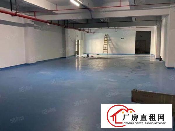  凤岗新出豪华装修厂房出租，直接拎包入驻，价格便宜，成熟工业区