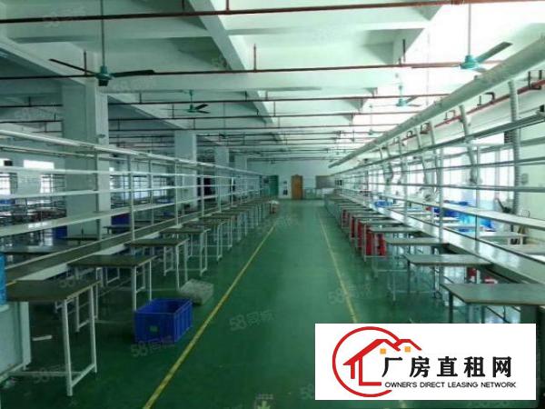  雁田月底空出独院3600平方出租（可以分租）