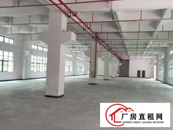  雁田月底空出独院3600平方出租（可以分租）